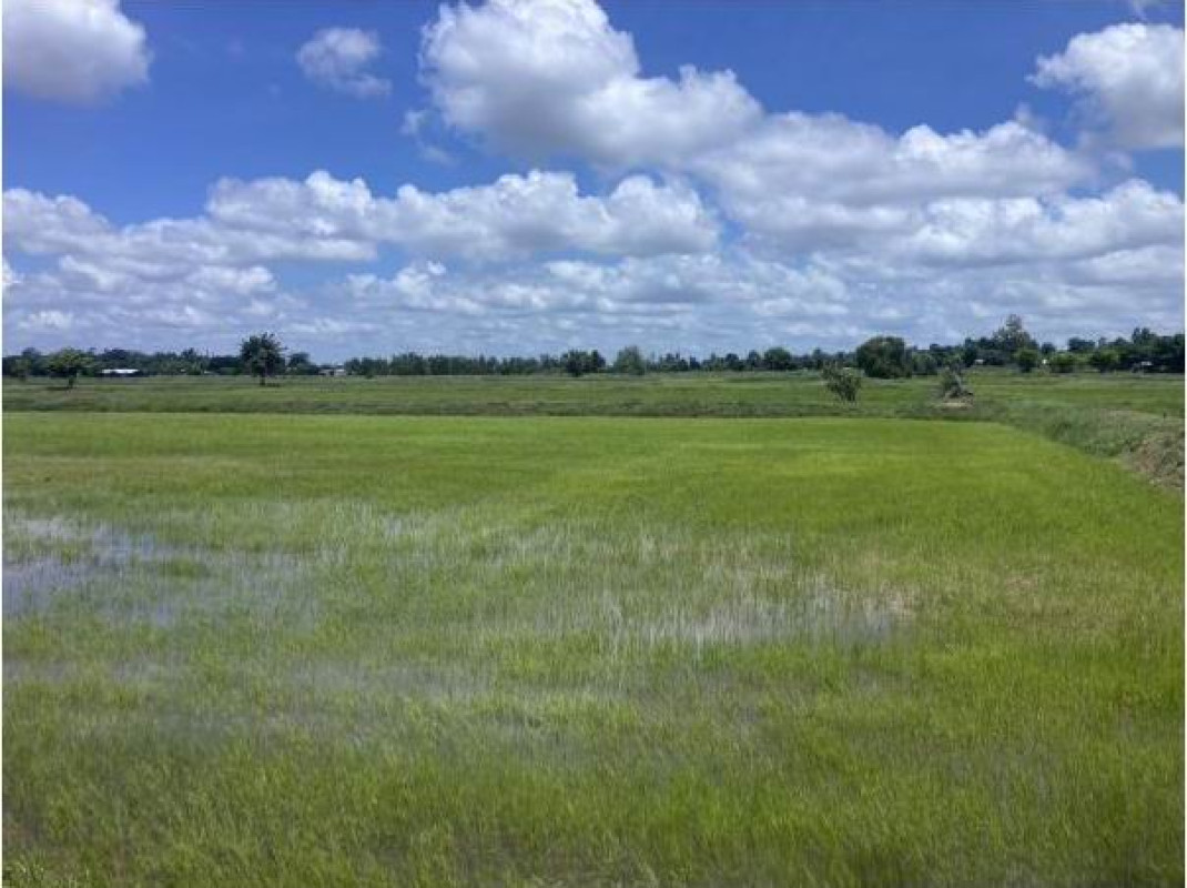 Residential land/lot Maha Sarakham Borabue Don Ngua 217750