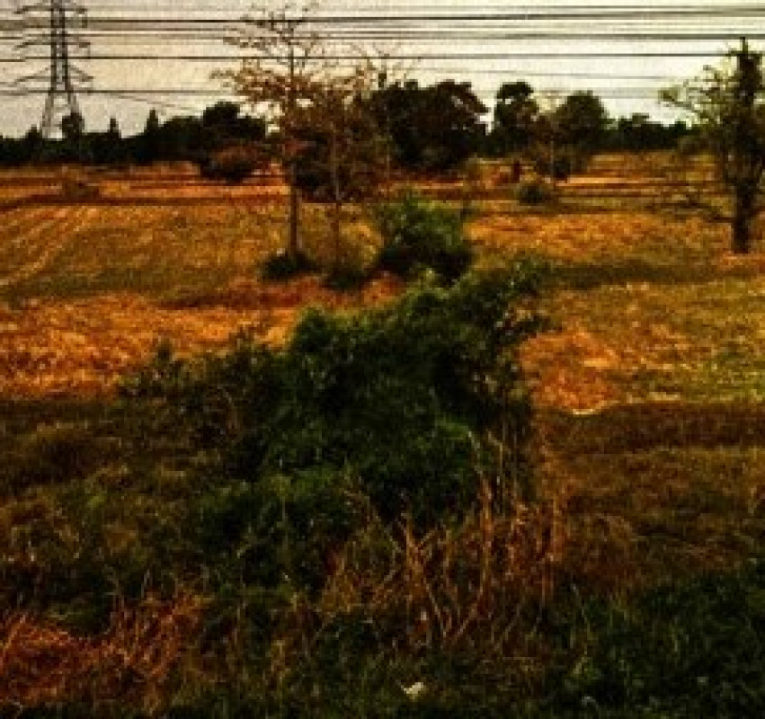 ที่ดินเปล่า มหาสารคาม บรบือ บ่อใหญ่ 240000