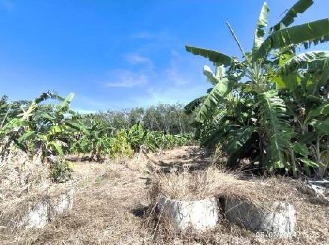 Residential land/lot Nakhon Si Thammarat Tha Sala Tha Khuen 225000