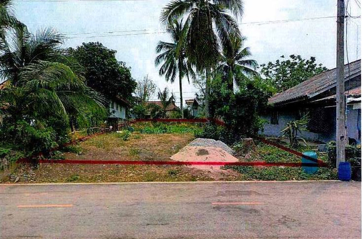 ที่ดินเปล่า หนองคาย สังคม สังคม 28800