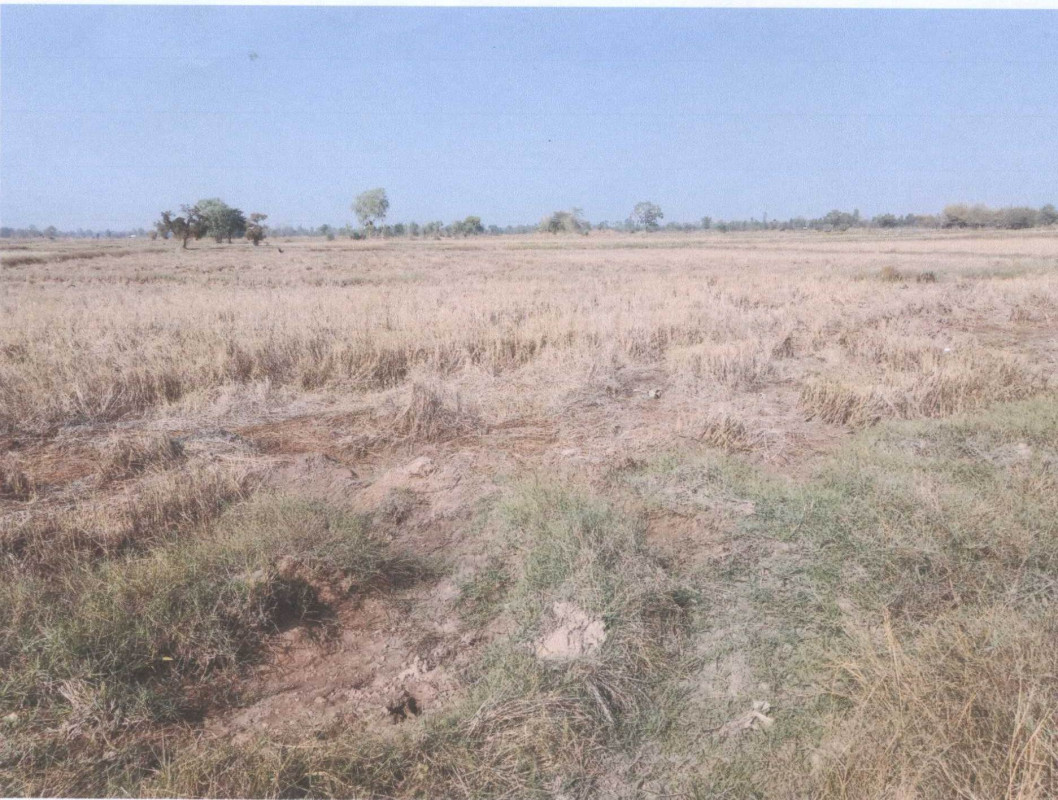 Residential land/lot Maha Sarakham Borabue Borabue 265850
