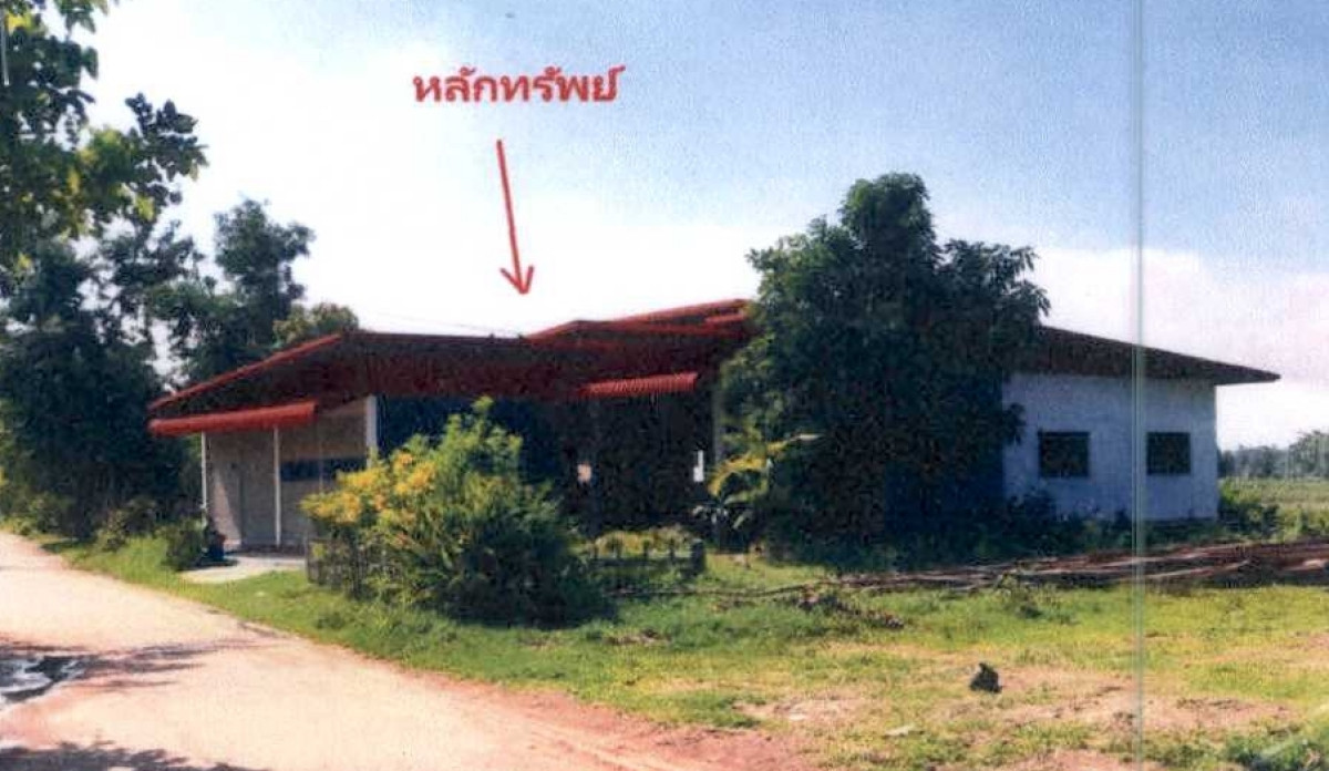 บ้านเดี่ยว บุรีรัมย์ บ้านกรวด โนนเจริญ 767140