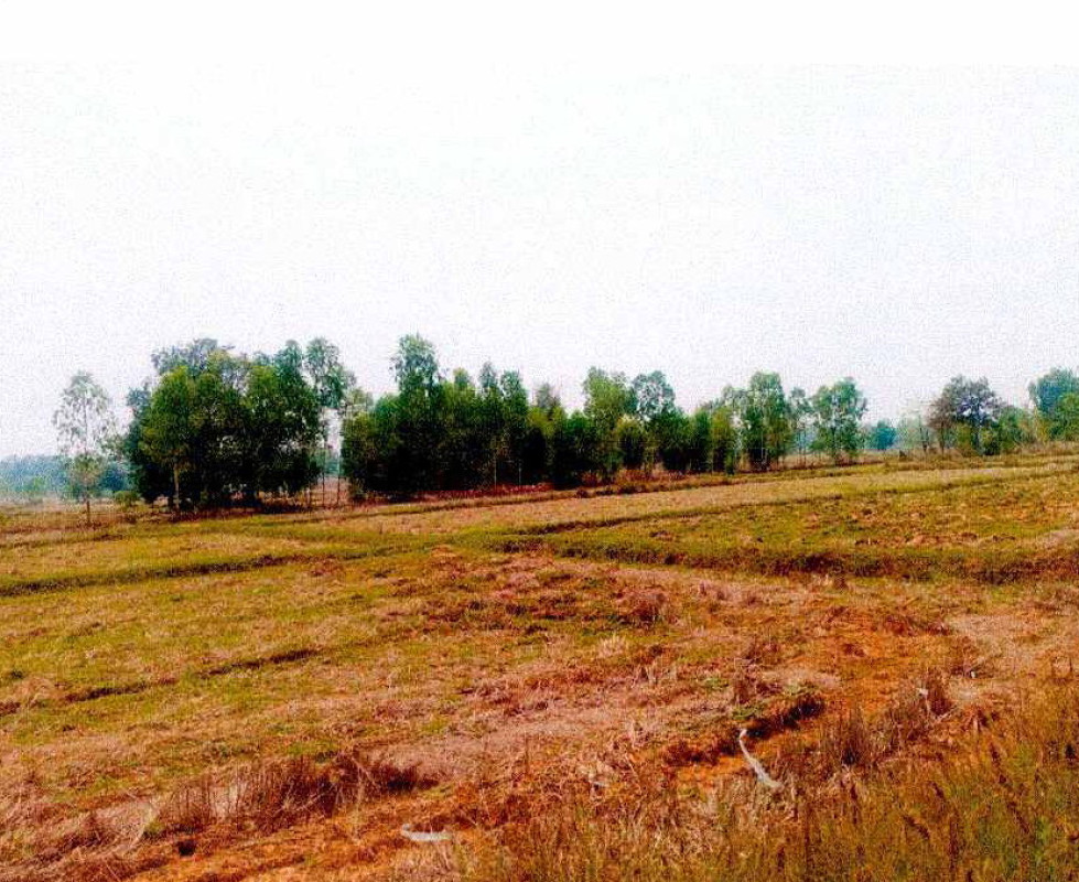 ที่ดินเปล่า หนองคาย เมืองหนองคาย วัดธาตุ 1143100
