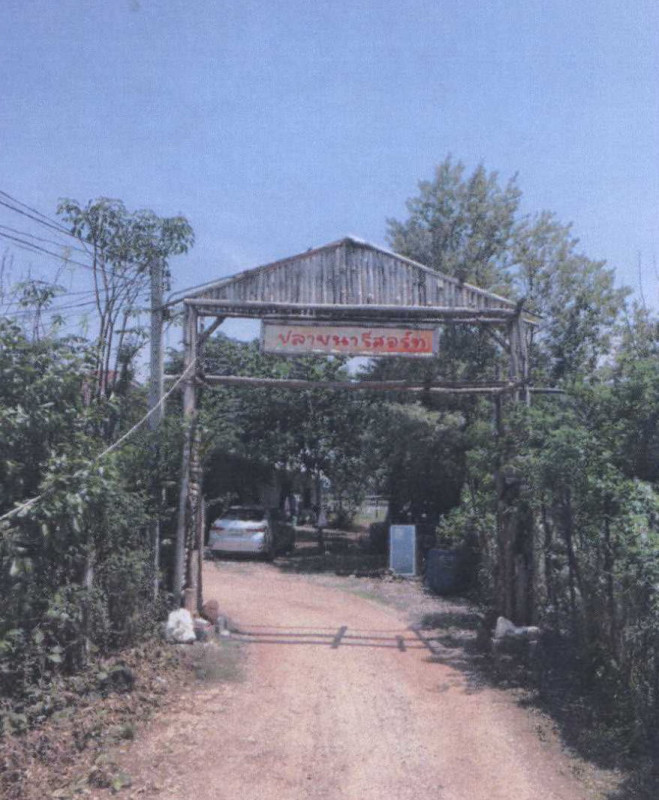 บ้านเดี่ยว ชัยภูมิ เมืองชัยภูมิ หนองนาแซง 6275326