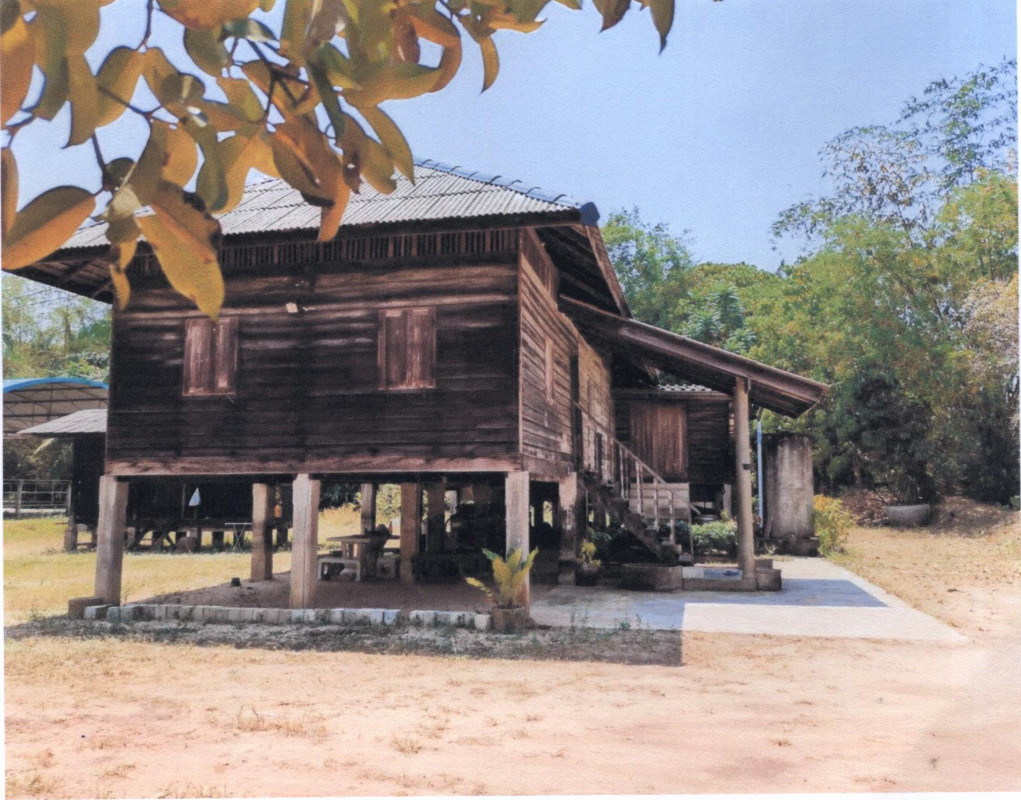 บ้านเดี่ยว สุราษฎร์ธานี ไชยา เวียง 3989040