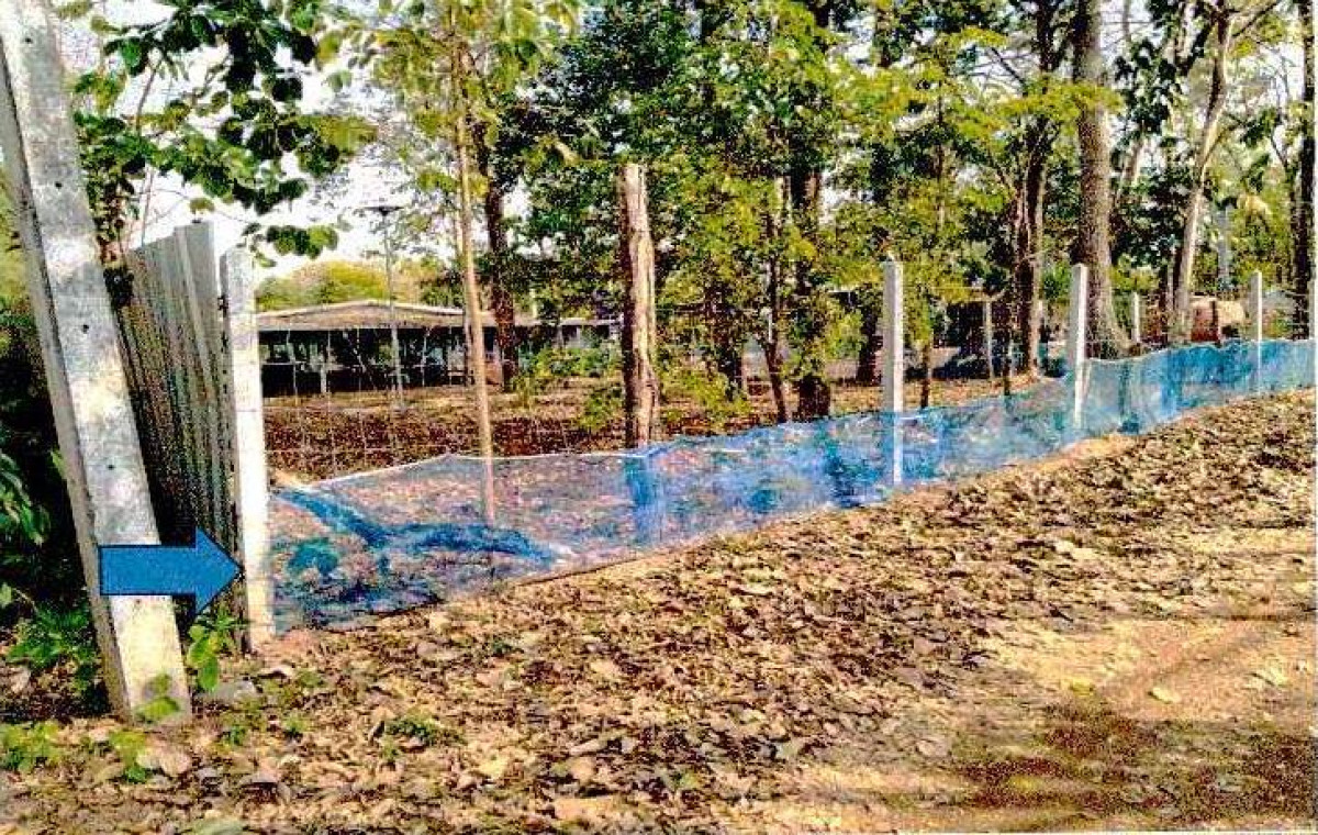 บ้านเดี่ยว หนองคาย ท่าบ่อ บ้านว่าน 797400