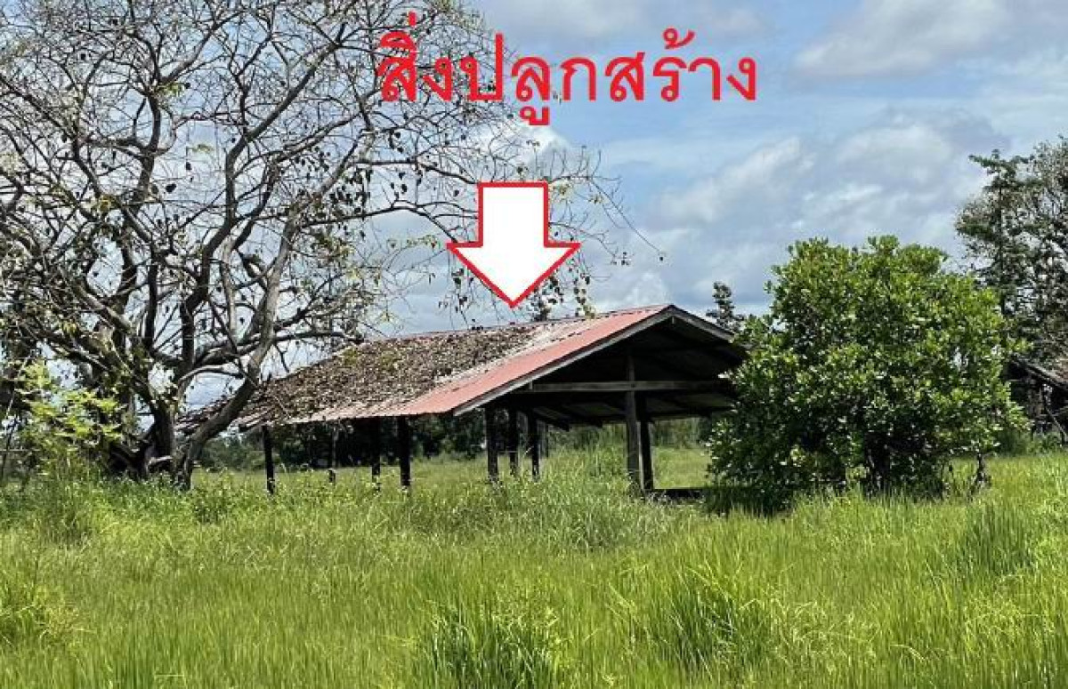 บ้านเดี่ยว อุบลราชธานี โขงเจียม หนองแสงใหญ่ 432848