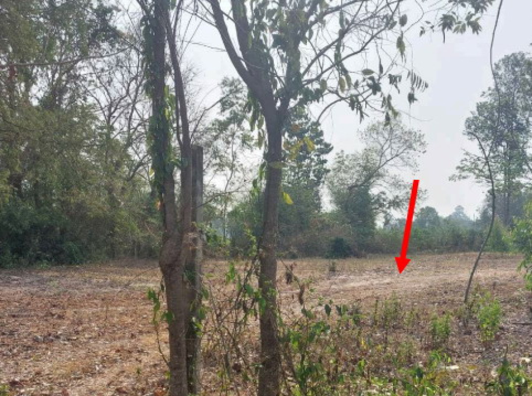 ที่ดินเปล่า อุบลราชธานี เมืองอุบลราชธานี ขี้เหล็ก 98123