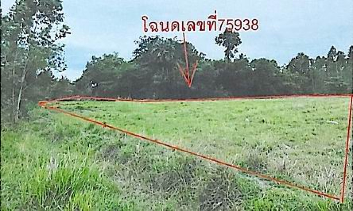 ที่ดินเปล่า ปราจีนบุรี กบินทร์บุรี กบินทร์ 309250