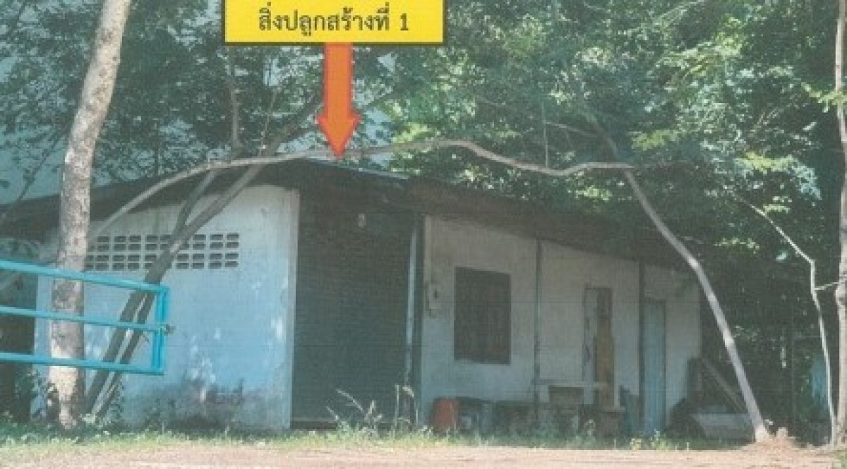 บ้านเดี่ยว กาฬสินธุ์ กุฉินารายณ์ บัวขาว 977160