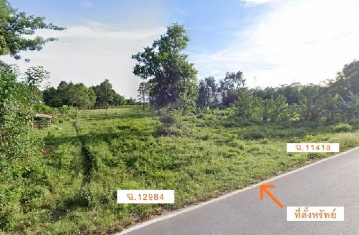 ที่ดินเปล่า กาฬสินธุ์ นามน สงเปลือย 160000