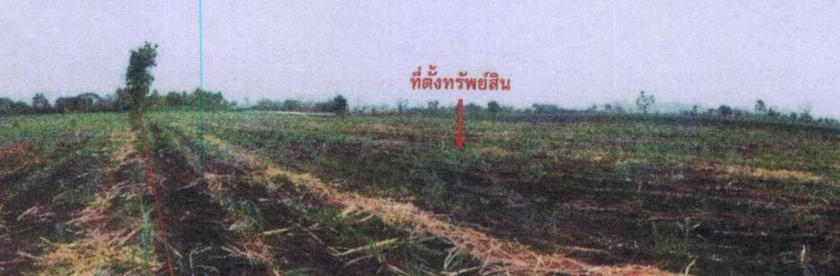 Residential land/lot Loburi Ban Mi Chon Muang 1369290