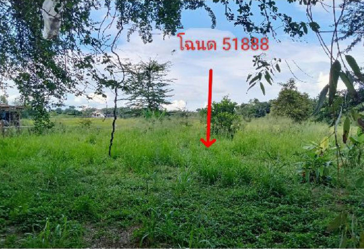 ที่ดินเปล่า อุบลราชธานี ตระการพืชผล ตระการ 340248