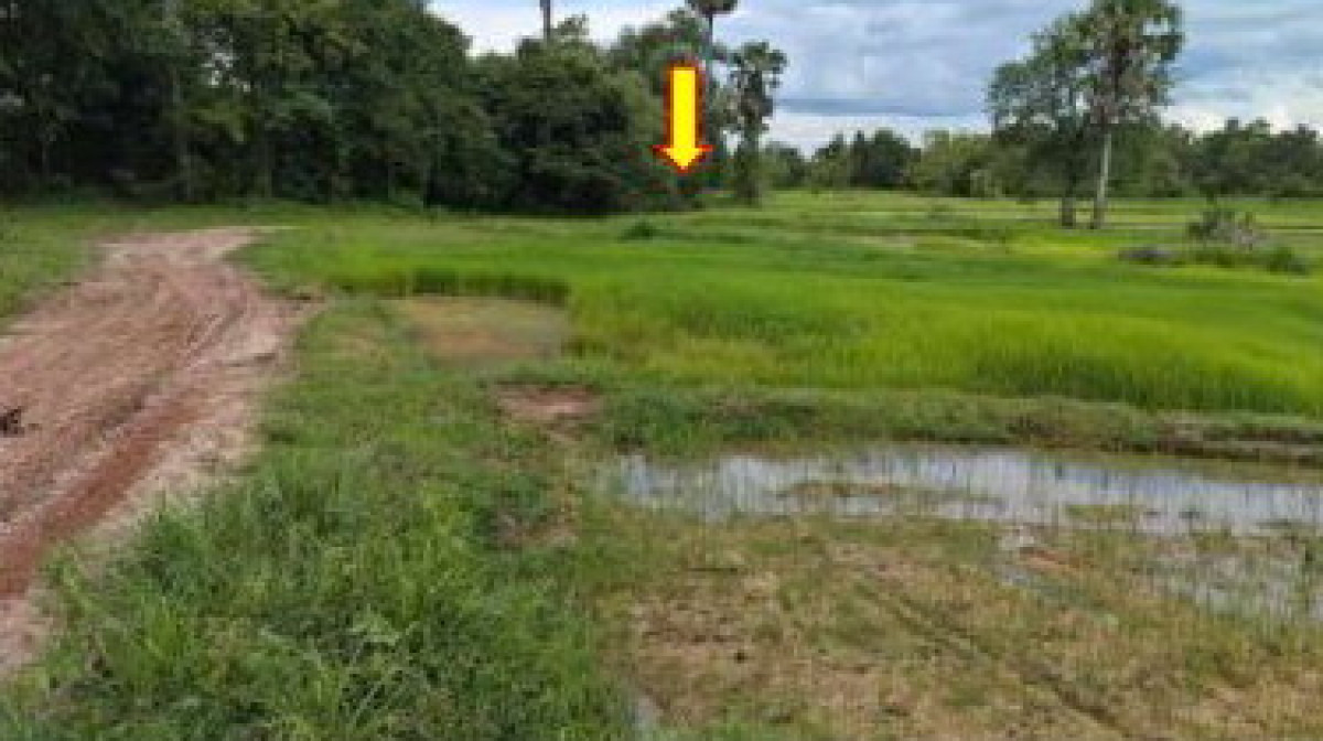 Residential land/lot Udon Thani Mueang Udon Thani Na Kha 3071100