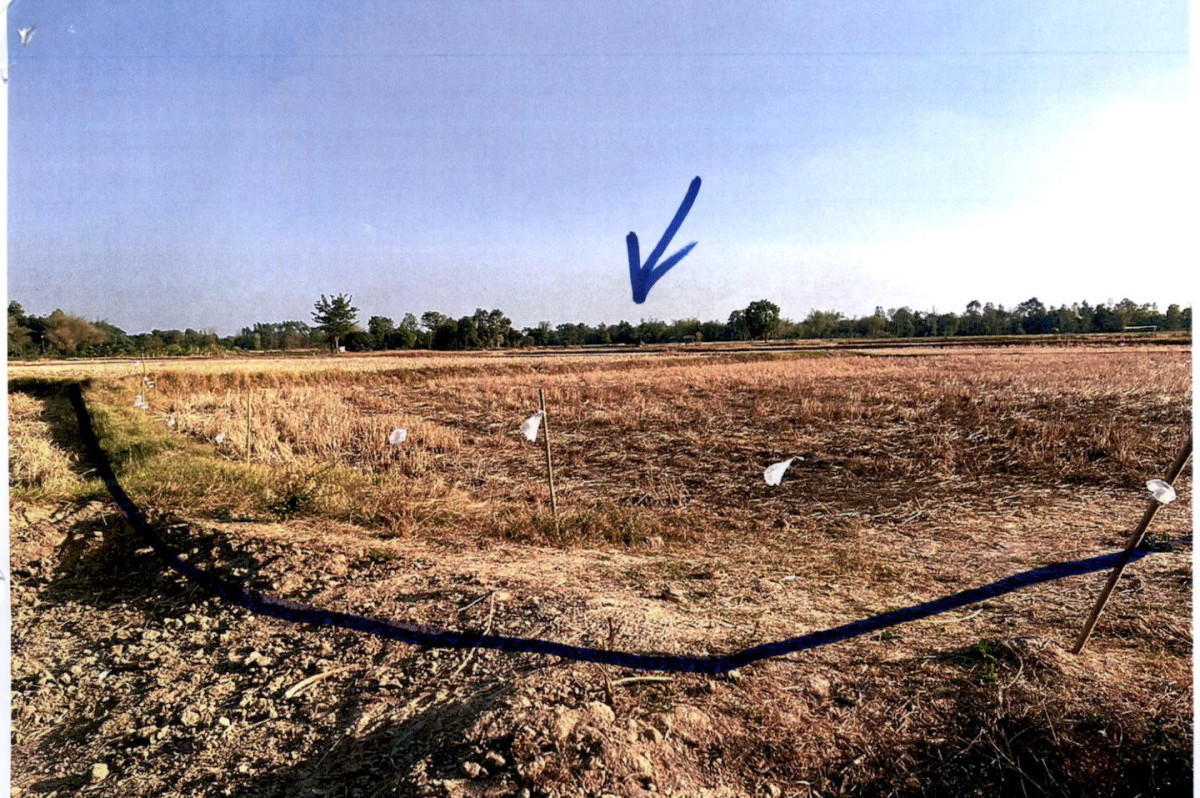 Residential land/lot Kalasin Kuchinarai Kut Wa 323880