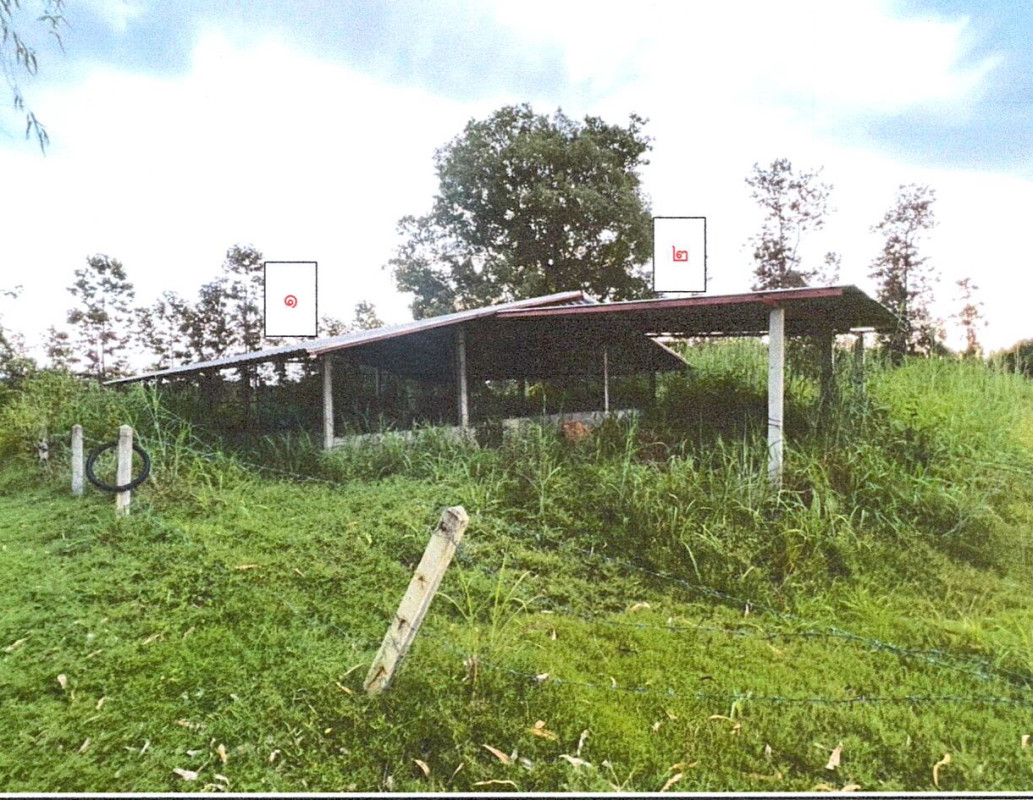 บ้านเดี่ยว อุบลราชธานี โขงเจียม หนองแสงใหญ่ 297125