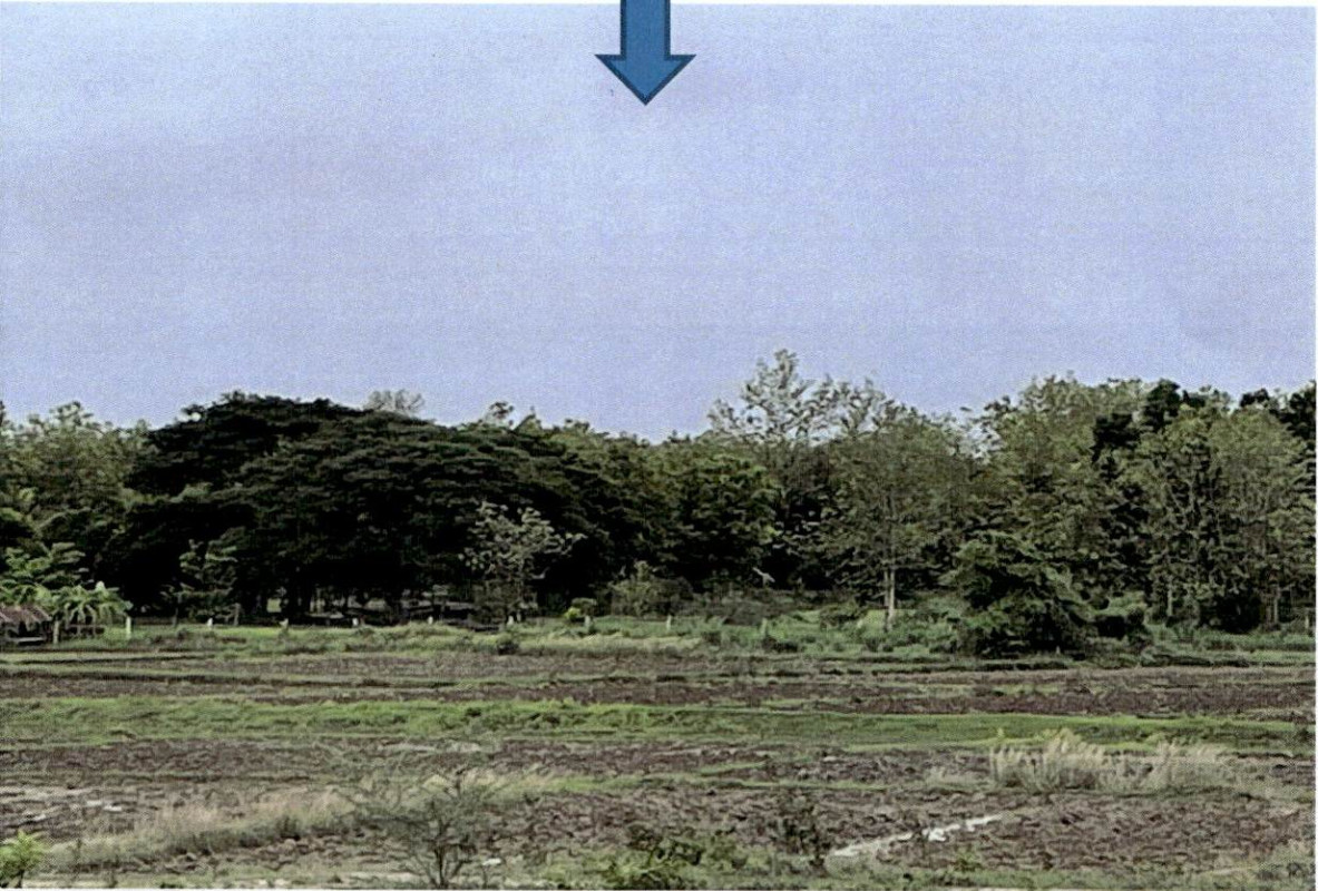 Residential land/lot Lampang Thoen Lom Raet 71526