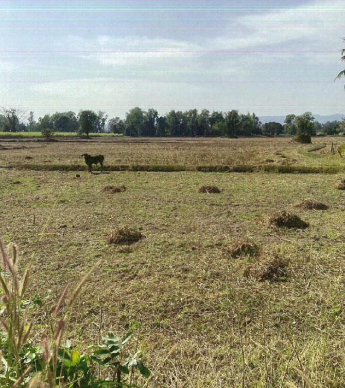 ที่ดินเปล่า อุดรธานี หนองวัวซอ กุดหมากไฟ 1962000