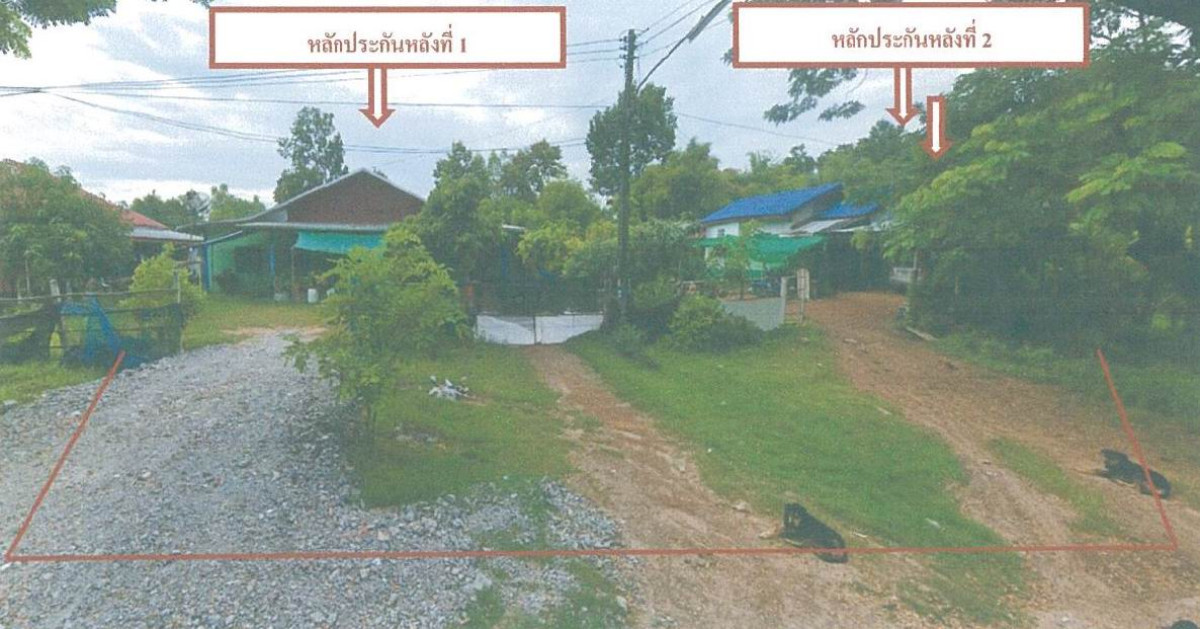 บ้านเดี่ยว อุดรธานี เมืองอุดรธานี นิคมสงเคราะห์ 1039395