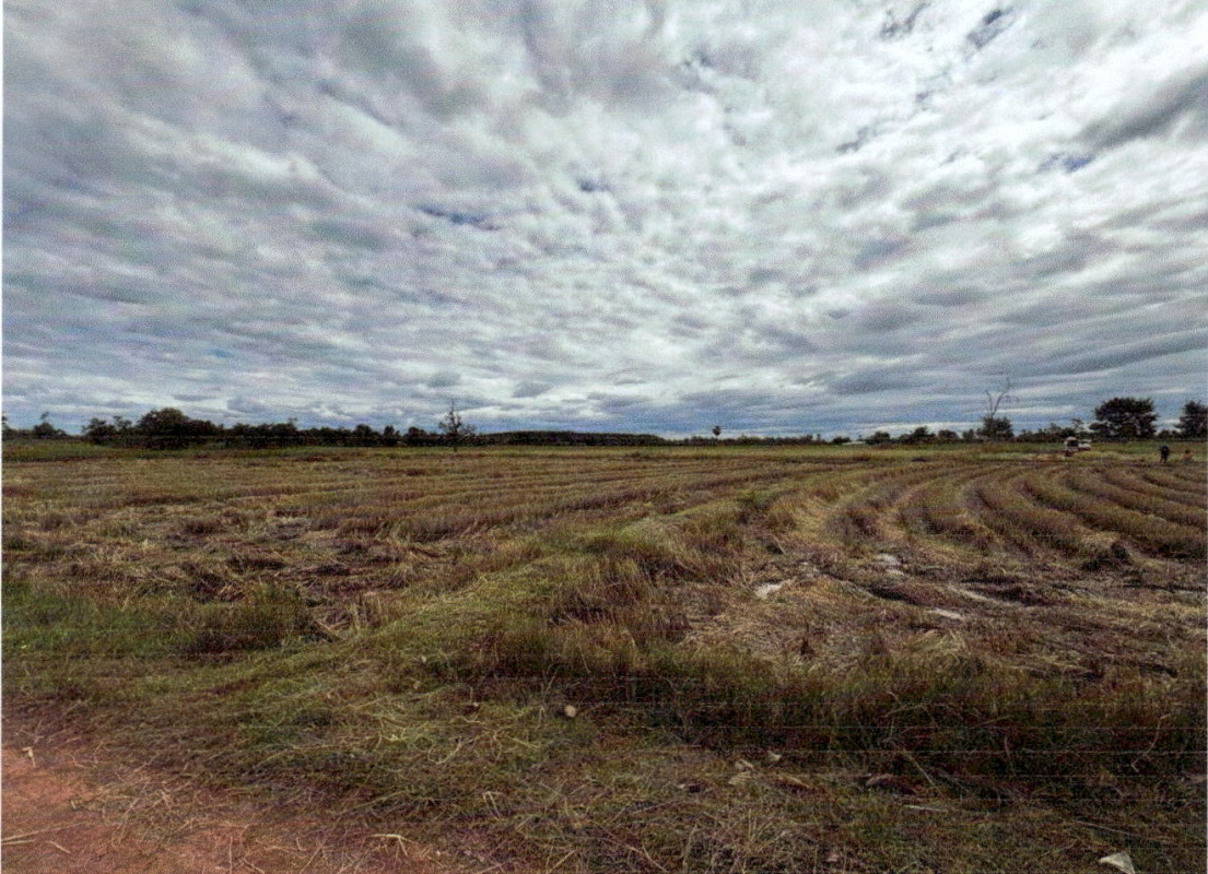 ที่ดินเปล่า นครพนม บ้านแพง หนองแวง 498750
