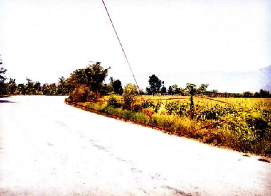 Residential land/lot Phitsanulok Wang Thong Kaeng Sopha 117900