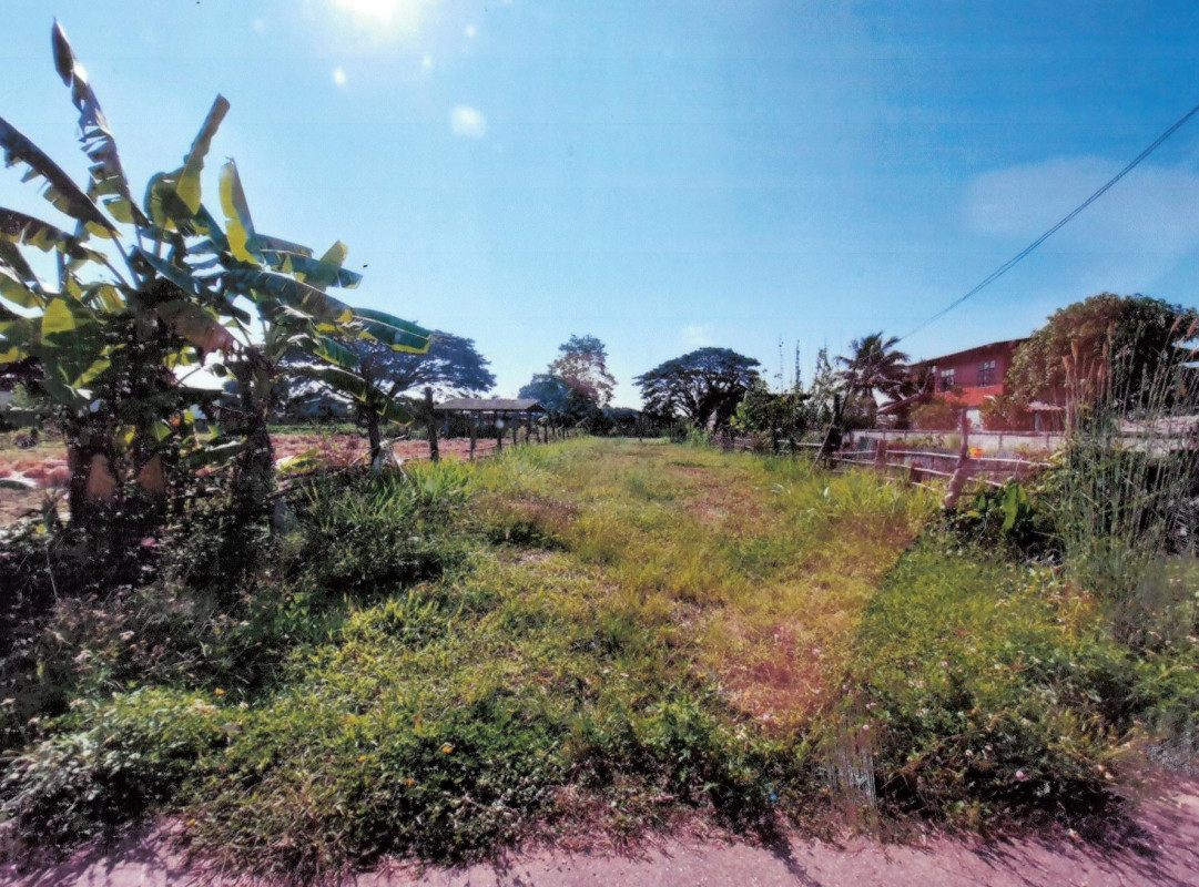 ที่ดินเปล่า เชียงราย ป่าแดด โรงช้าง 33600