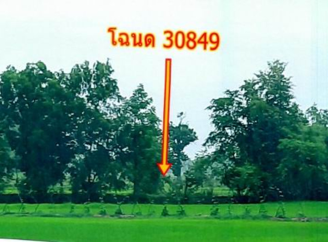 ที่ดินเปล่า อุบลราชธานี เขมราฐ หัวนา 177320