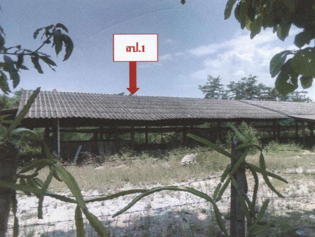 บ้านเดี่ยว เชียงใหม่ จอมทอง ข่วงเปา 2347560