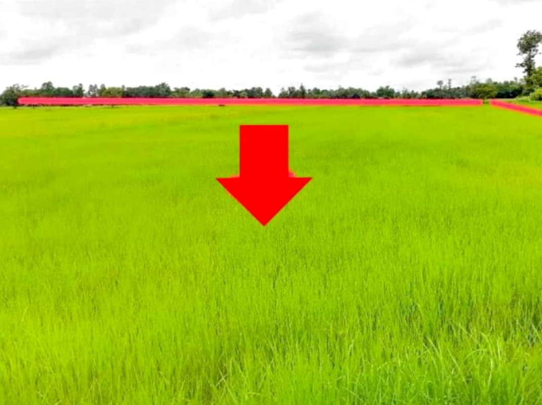 Residential land/lot Ubon Ratchathani Phibun Mangsahan Don Chik 1765500