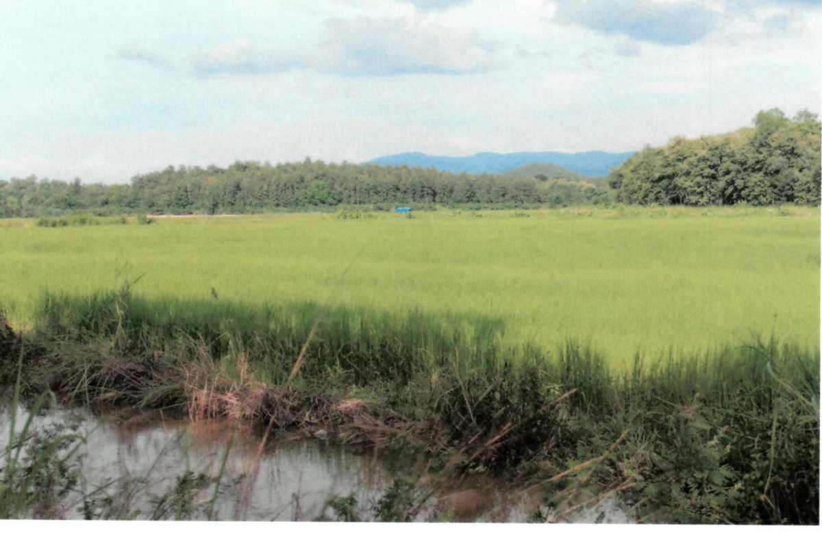 Residential land/lot Chiang Rai Phaya Mengrai Mengrai 140350