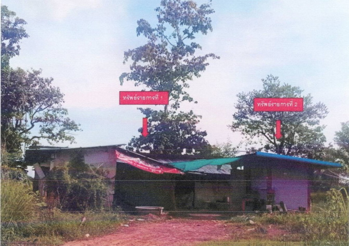 บ้านเดี่ยว อุบลราชธานี พิบูลมังสาหาร โพธิ์ศรี 139155