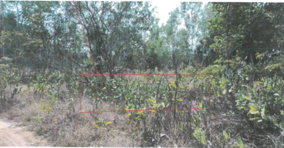 Residential land/lot Ubon Ratchathani Sawang Wirawong Tha Chang 75000