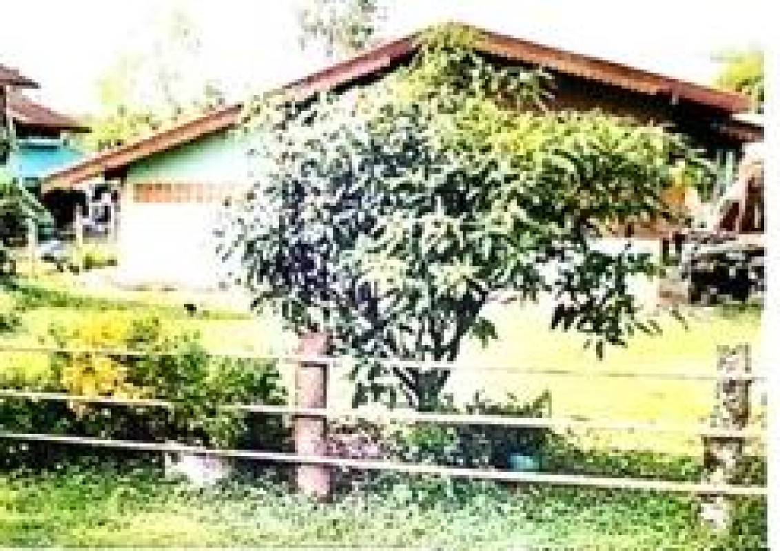 บ้านเดี่ยว นครพนม บ้านแพง หนองแวง 727722