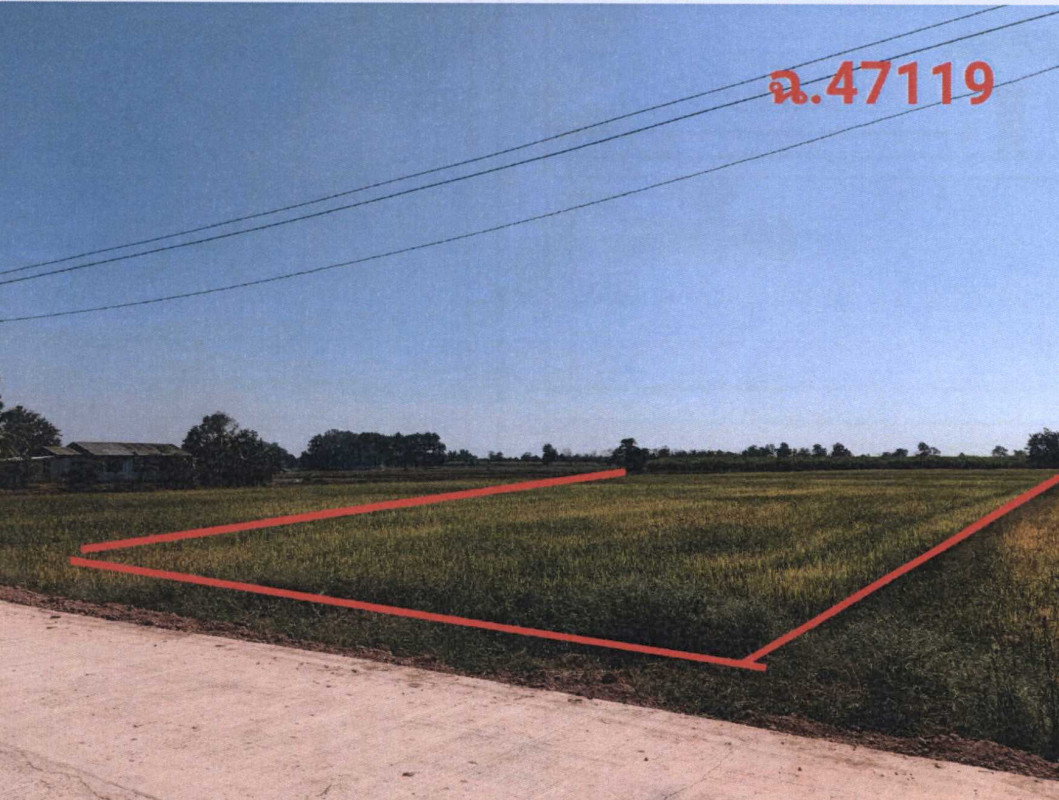 ที่ดินเปล่า สุโขทัย ศรีนคร คลองมะพลับ 300000