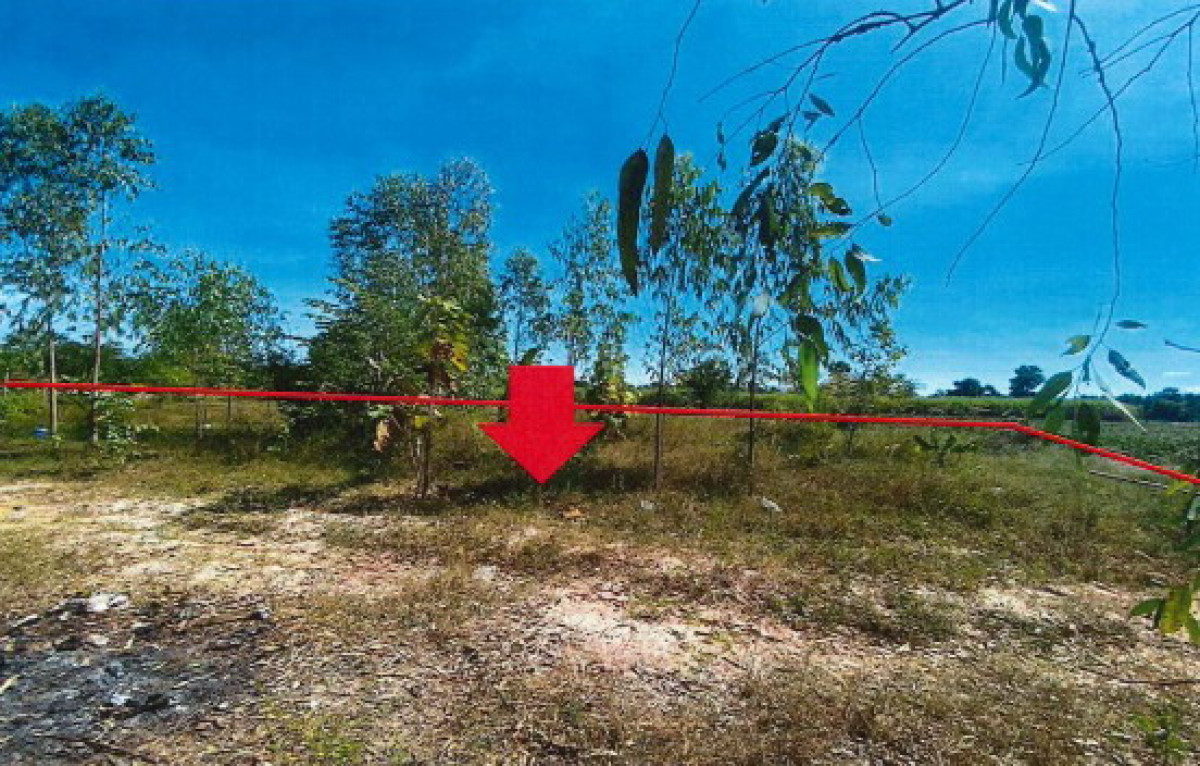 ที่ดินเปล่า กาฬสินธุ์ สหัสขันธ์ สหัสขันธ์ 126000