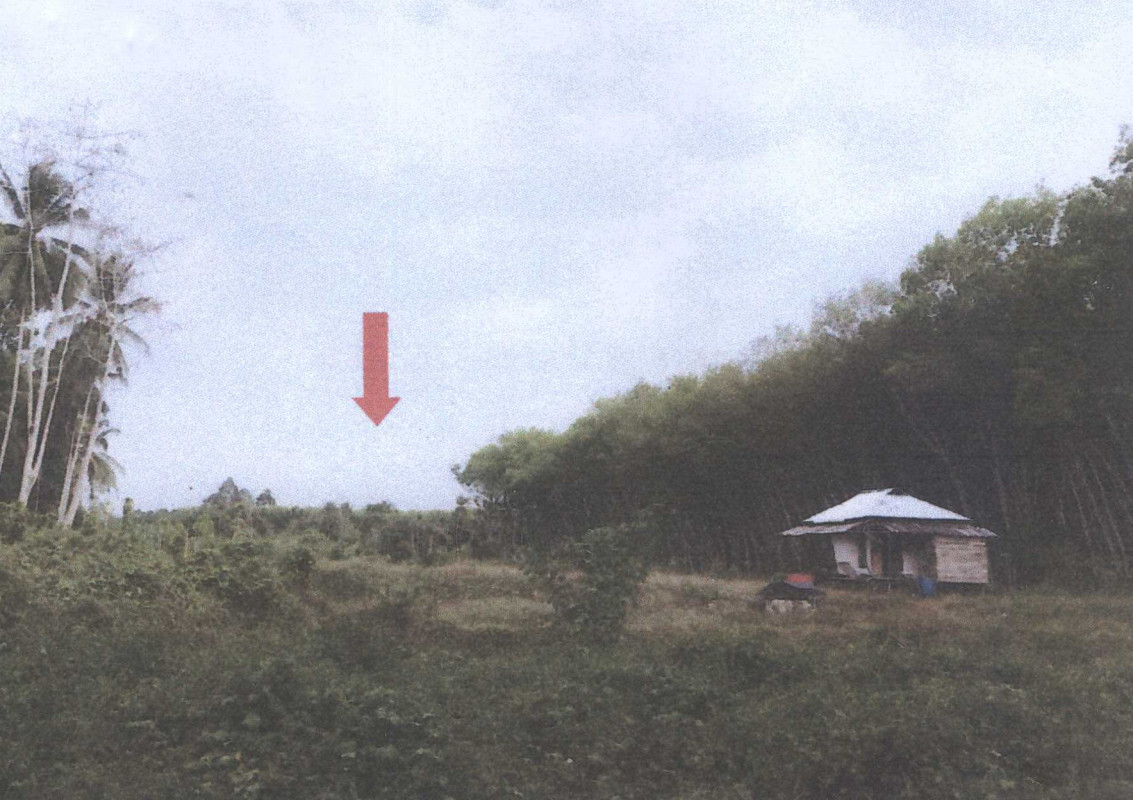 บ้านเดี่ยว สุราษฎร์ธานี พุนพิน น้ำรอบ 1688000