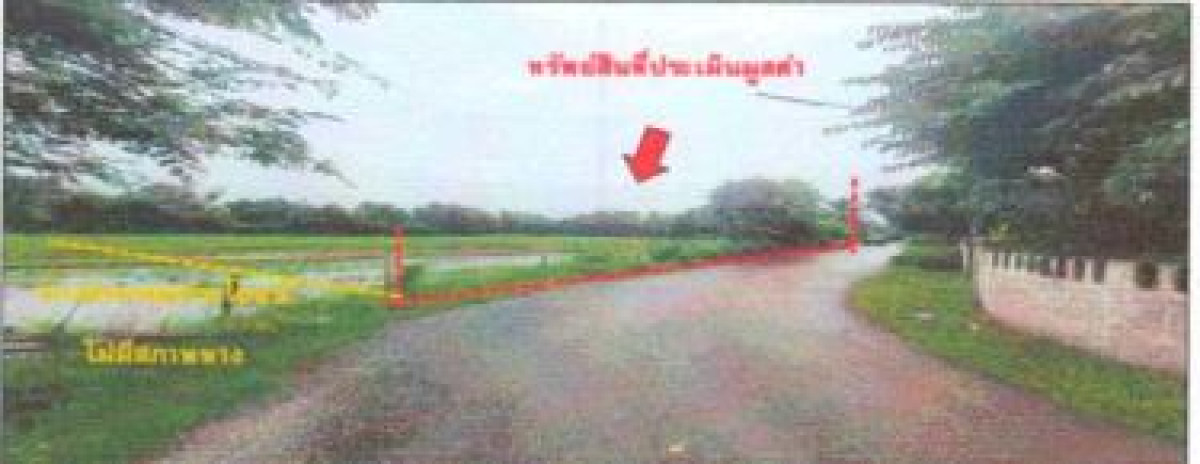 ที่ดินเปล่า อุดรธานี เพ็ญ นาบัว 185350