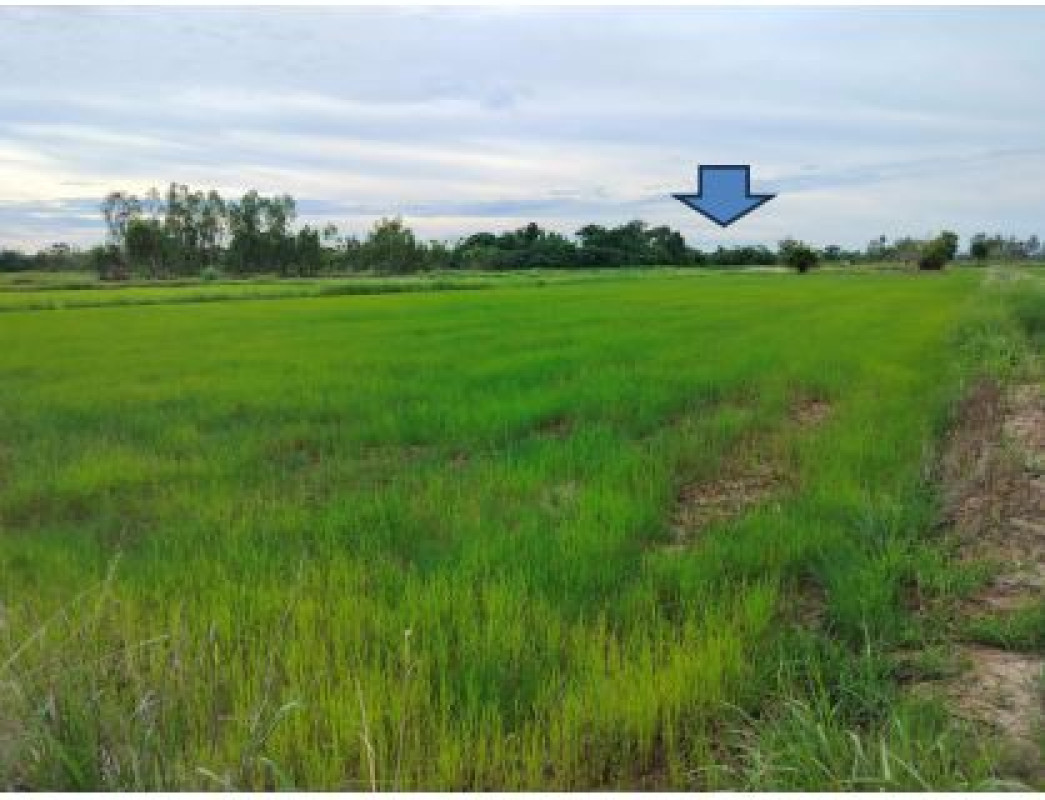 ที่ดินเปล่า อุดรธานี กุดจับ เมืองเพีย 405225