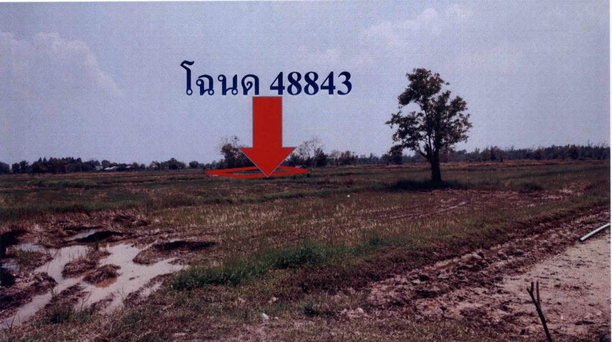 ที่ดินเปล่า นครพนม ธาตุพนม แสนพัน 111555