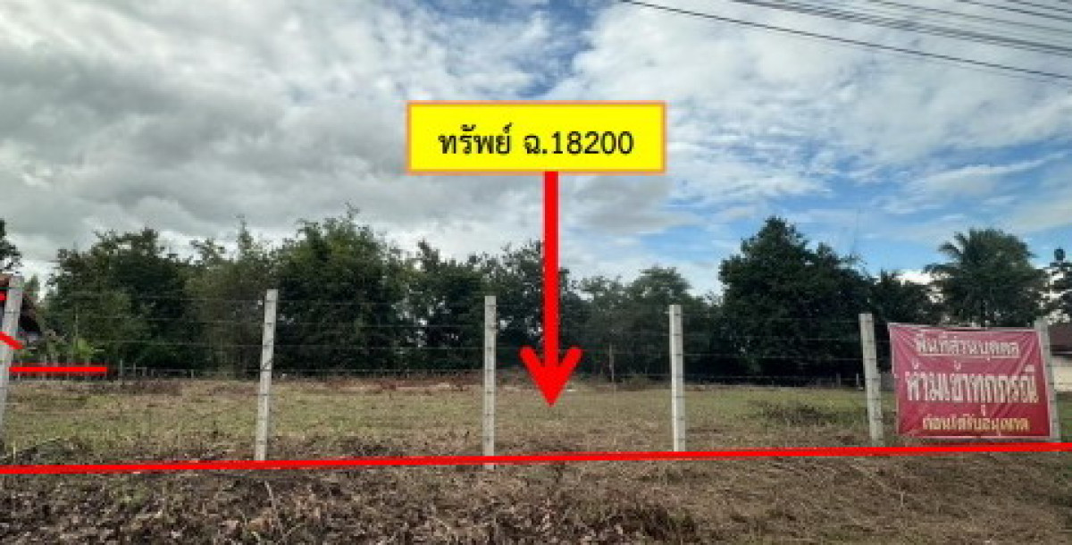 ที่ดินเปล่า กาฬสินธุ์ สมเด็จ ศรีสมเด็จ 350000