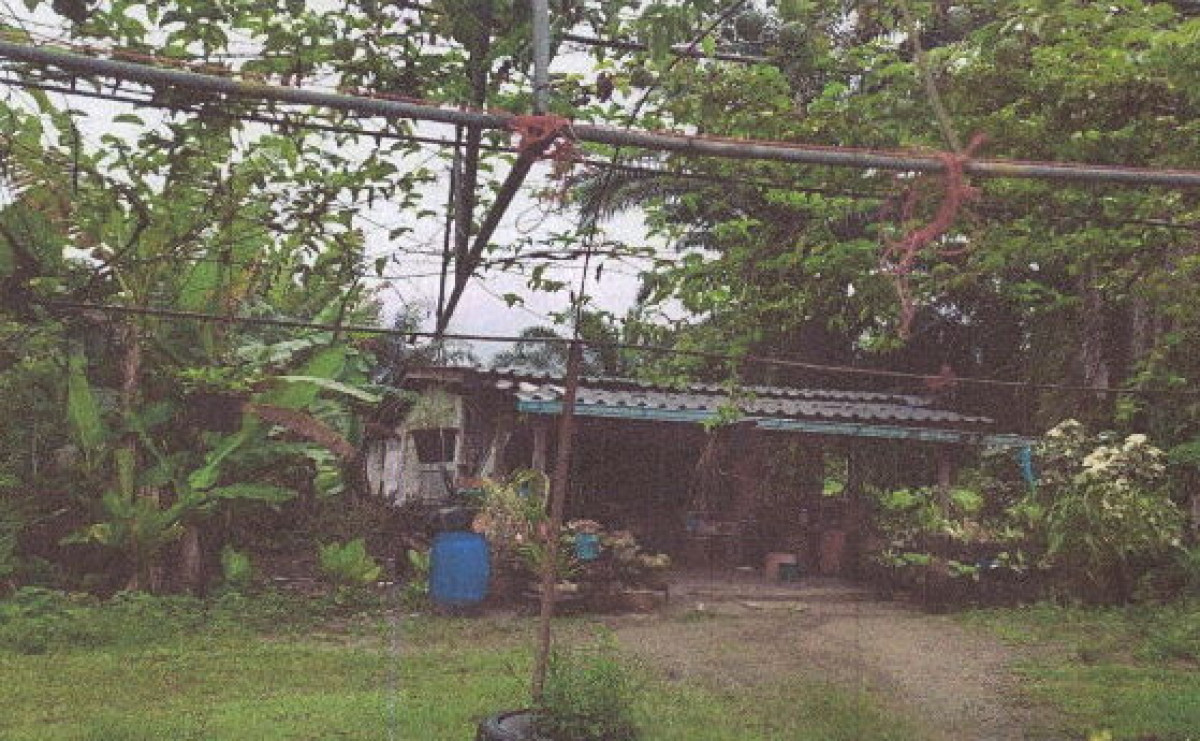 บ้านเดี่ยว กระบี่ อ่าวลึก คลองหิน 228200