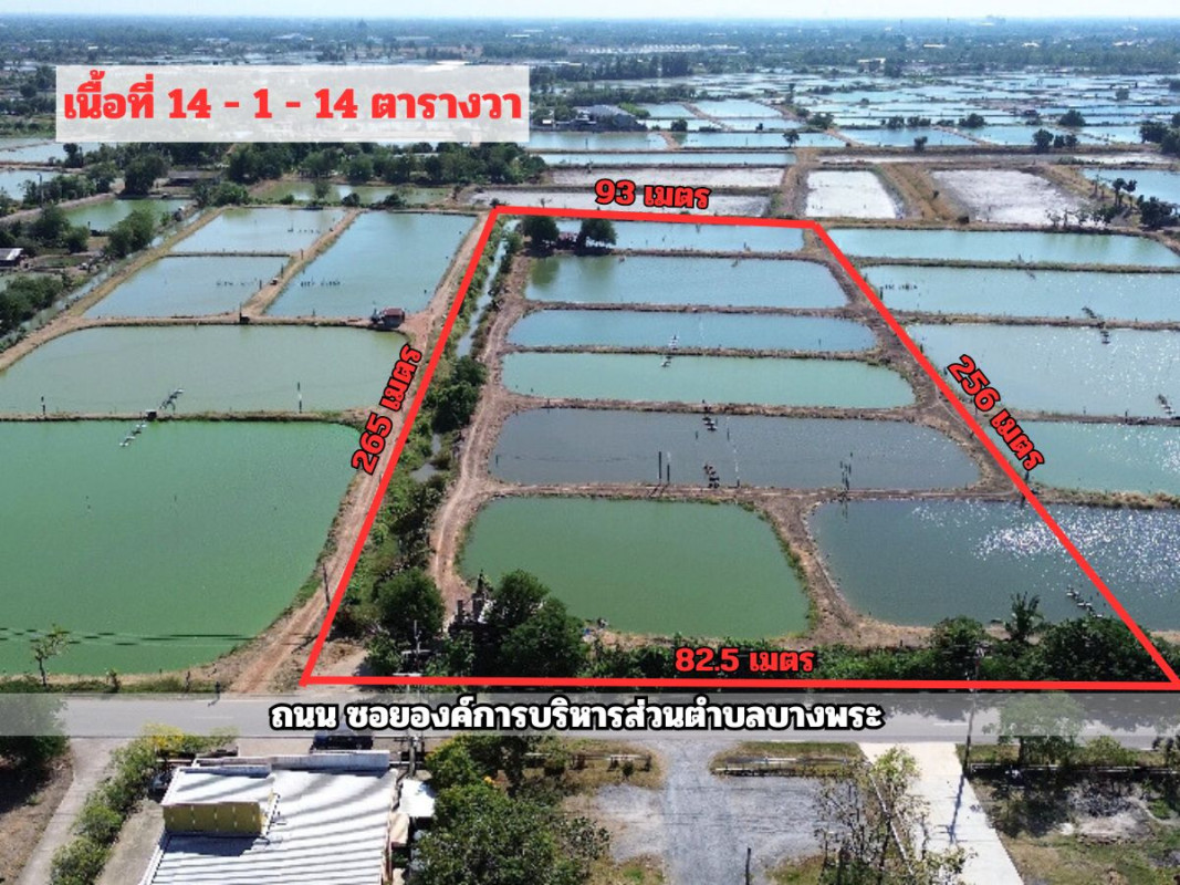 ที่ดินเปล่า ฉะเชิงเทรา เมืองฉะเชิงเทรา บางพระ 37000000