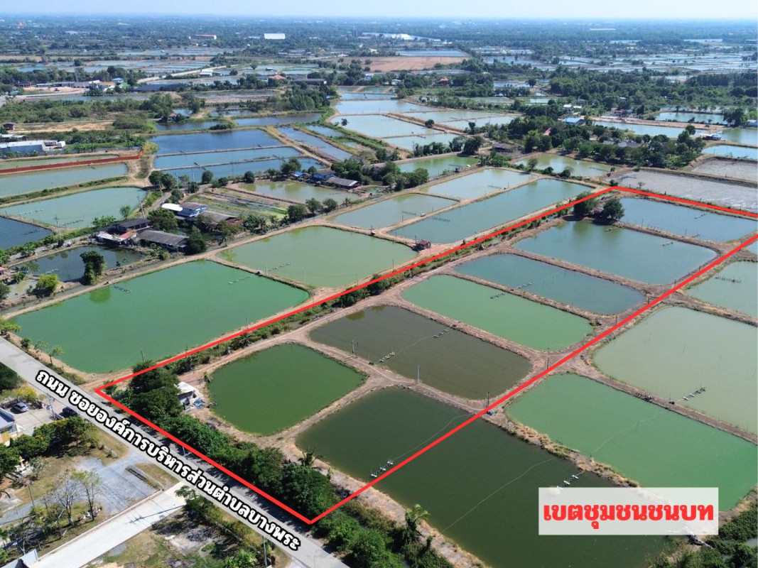 ที่ดินเปล่า ฉะเชิงเทรา เมืองฉะเชิงเทรา บางพระ 37000000
