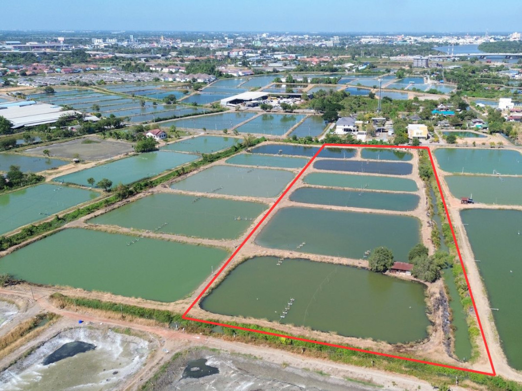 ที่ดินเปล่า ฉะเชิงเทรา เมืองฉะเชิงเทรา บางพระ 37000000