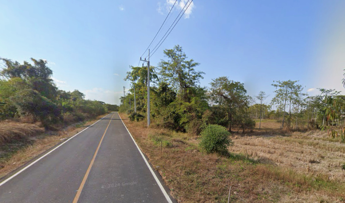 ที่ดินเปล่า ลำพูน บ้านธิ บ้านธิ 22000000