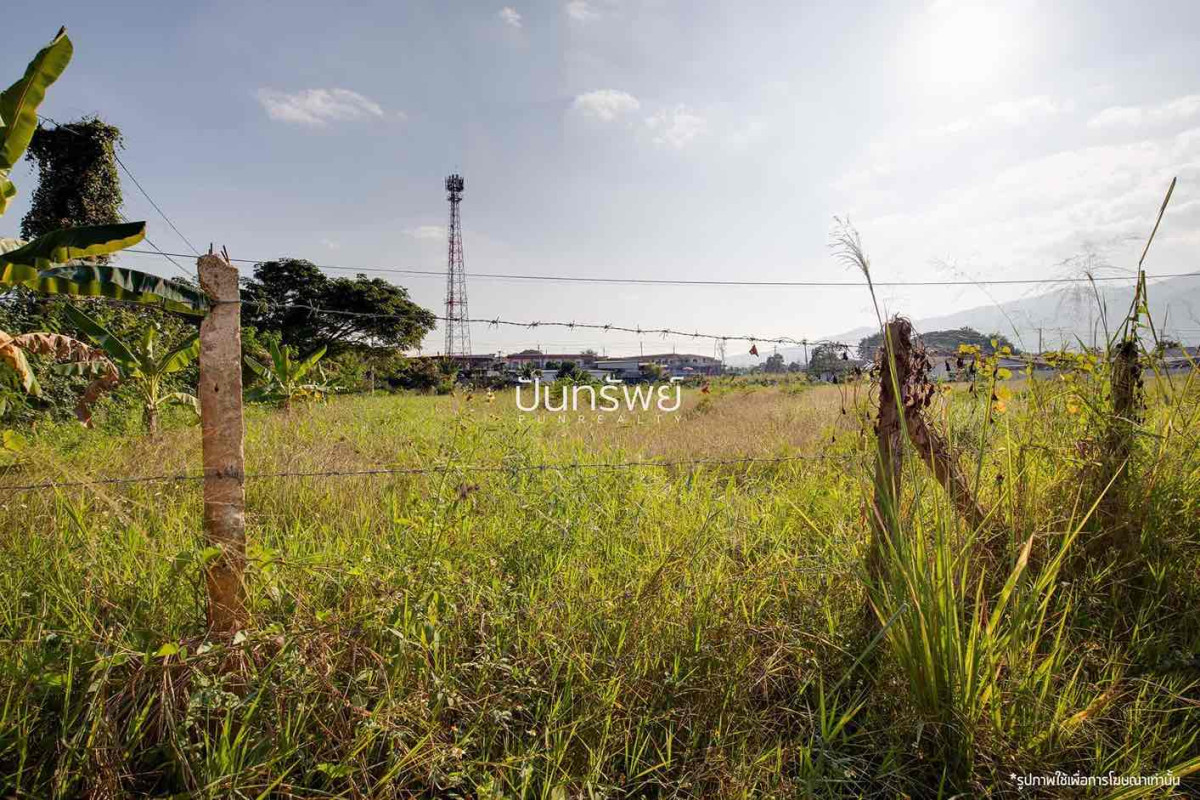 ที่ดินเปล่า เชียงใหม่ เมืองเชียงใหม่ สันผีเสื้อ 46152000