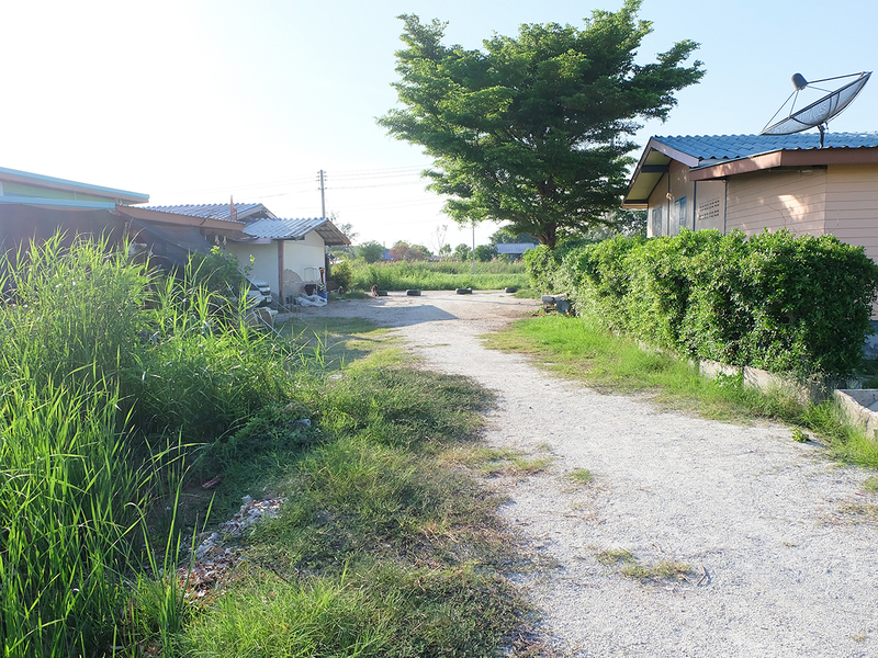 ที่ดินเปล่า ชลบุรี พานทอง บางนาง 1200000