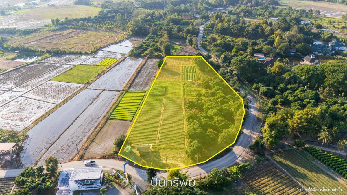 ที่ดินเปล่า เชียงใหม่ แม่ริม เหมืองแก้ว 20220000