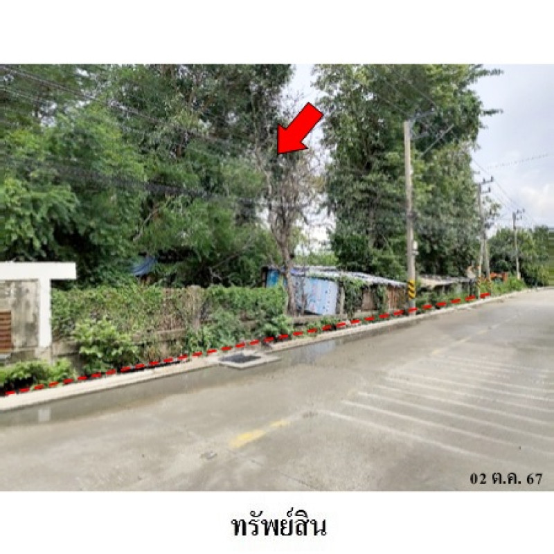 ที่ดินเปล่า ปทุมธานี เมืองปทุมธานี บางคูวัด 32000500