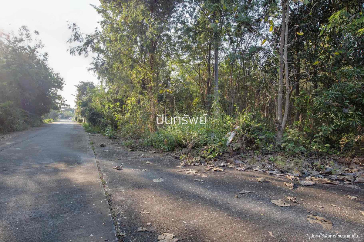 ที่ดินเปล่า เชียงใหม่ สันกำแพง บวกค้าง 1785000